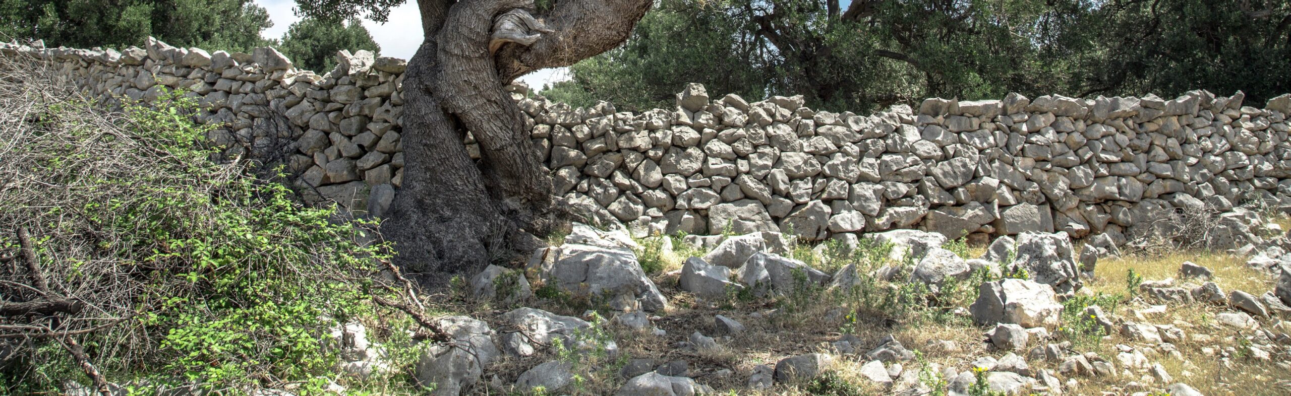 Boundaries - They Won't Let You Down