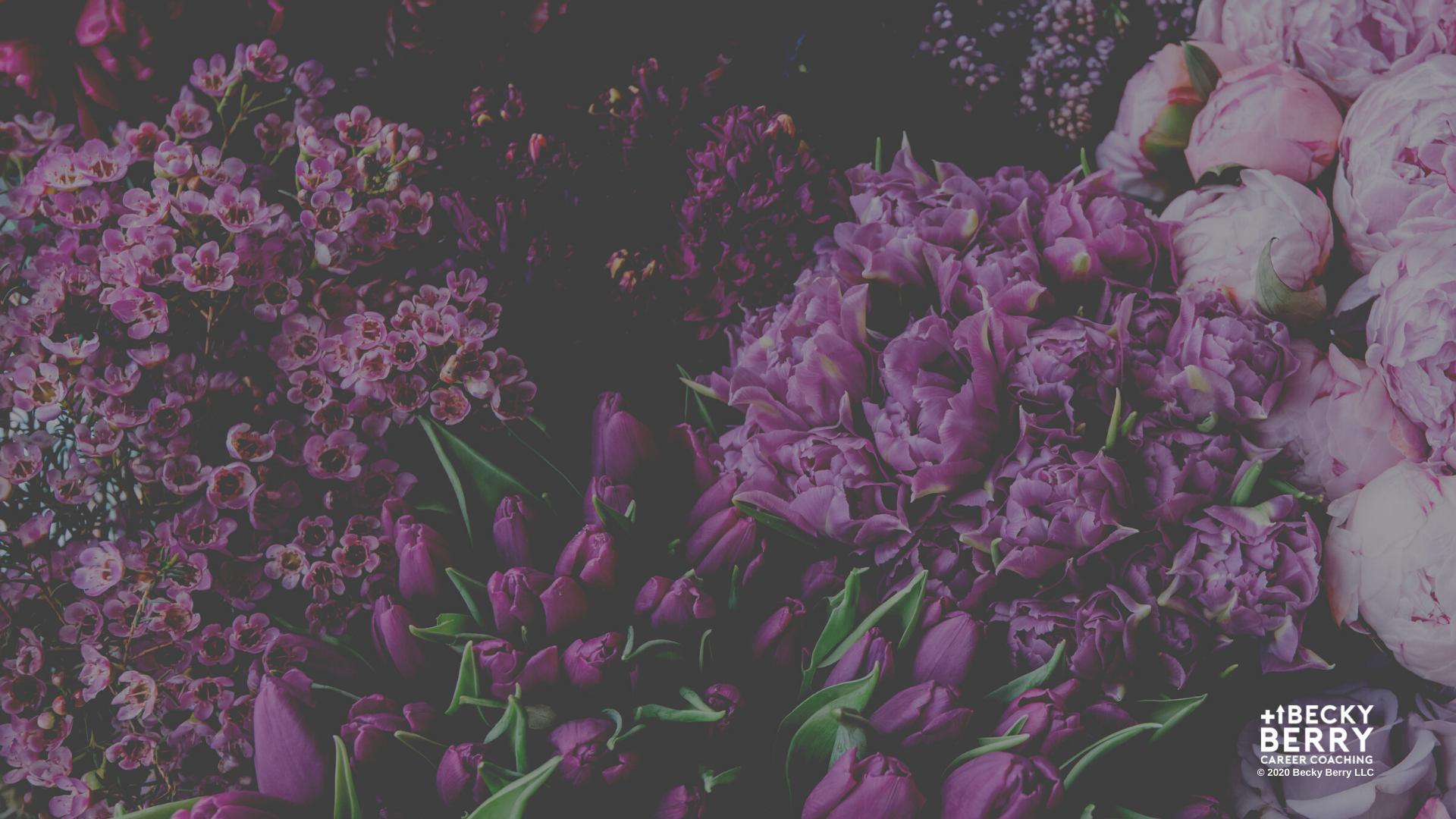 Compassion and Loving-Kindness