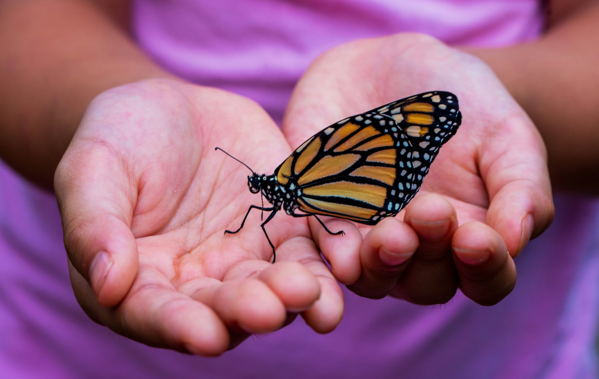 I've Never Recovered from COVID